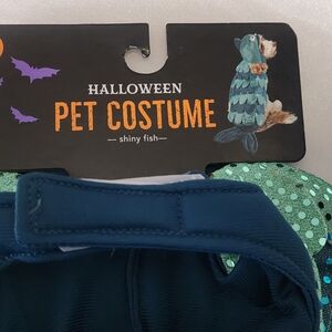 Halloween Pet Costume - Blue and Green